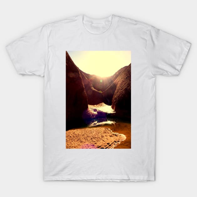 Watering Hole T-Shirt by MelTGazing